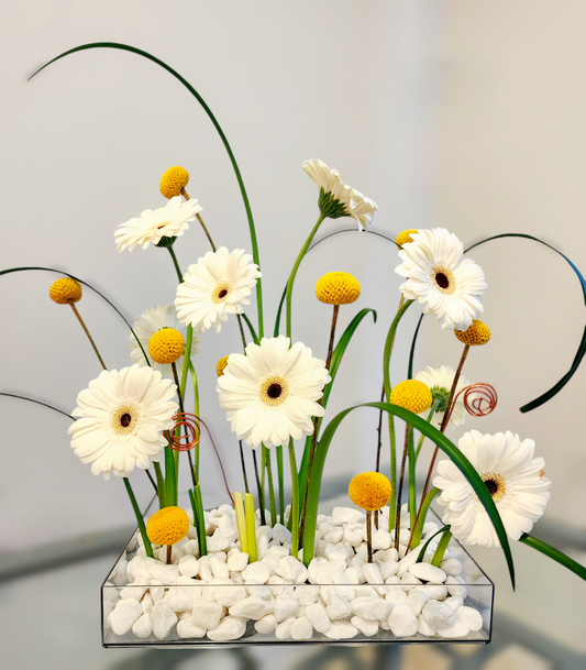 Gerbera garden